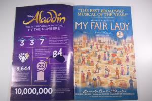 Aladdin Playbill, New Amsterdam Theatre, New York, 2019 (04)